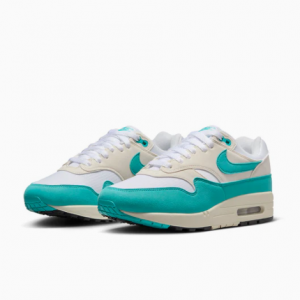 NIKE Air Max 1 Dusty Cactus