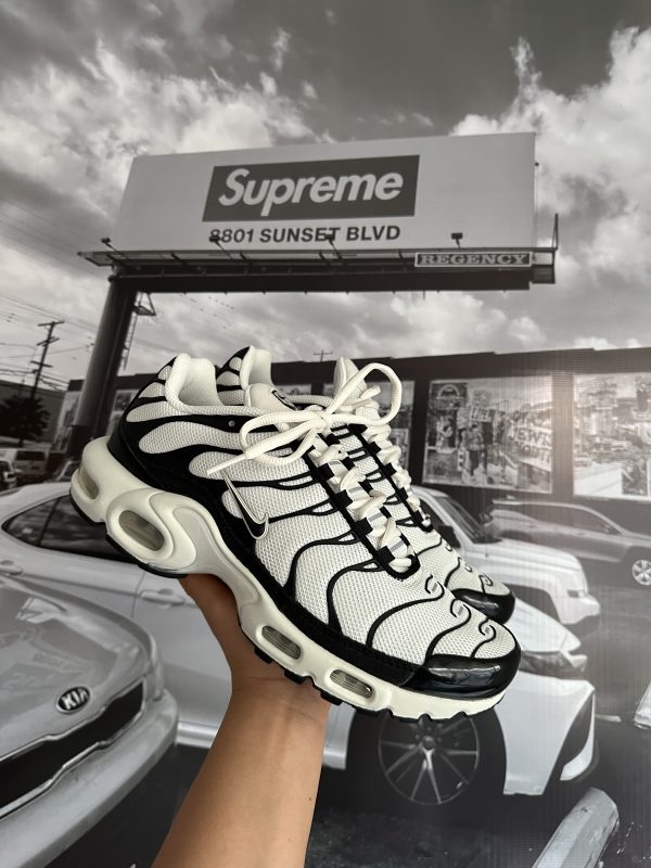 NIKE Air Max Plus Panda