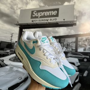 NIKE Air Max 1 Dusty Cactus