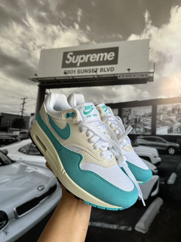 NIKE Air Max 1 Dusty Cactus