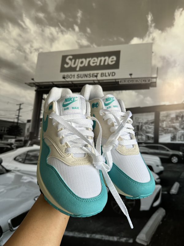 NIKE Air Max 1 Dusty Cactus - Imagen 2