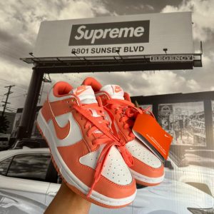 NIKE Dunk Low Next Nature