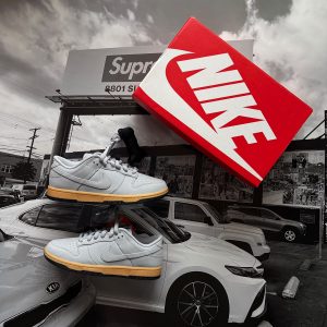 NIKE Dunk Low Retro SE Wolf Grey